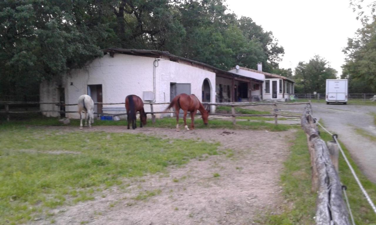 Вилла Ferme Equestre Des Abrons Pailloles Экстерьер фото