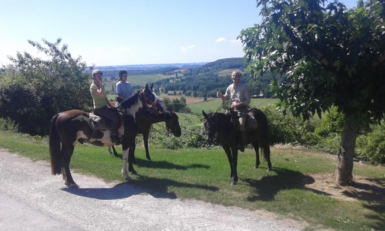 Вилла Ferme Equestre Des Abrons Pailloles Экстерьер фото